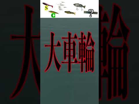 新発売のスピナべに色々ルアー付けたら面白すぎた。#釣り#釣りあるある#バス釣り#バス釣りあるある#あるある#YouTube#deps#バーバーばば