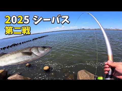2025 NEWリールでデイシーバス【二