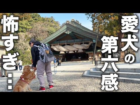 【島根旅】出雲大社に行ったら愛犬が動かなくなりました・・・【車中泊】