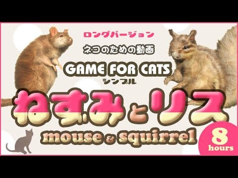 【猫用動画MIX】ねずみ・リス ８時間 GAME FOR CATS - SIMPLE - Mouse & Squirrel 8 hours