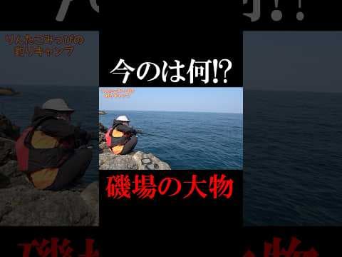 回答お待ちしています🥺 #釣り #fishing