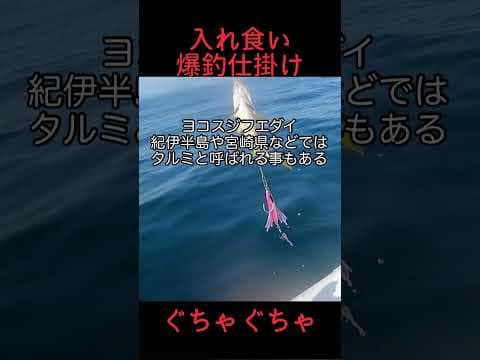 #爆釣 #入れ食い #魔法の仕掛け #釣れすぎ地獄仕掛け #ジギングサビキ #ひれピラ #釣れすぎてぐちゃぐちゃになってしまう #コメント