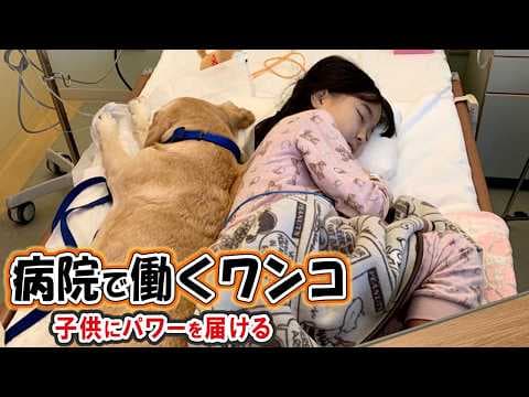 闘病中の子供に寄り添いパワーを届けるワンコ