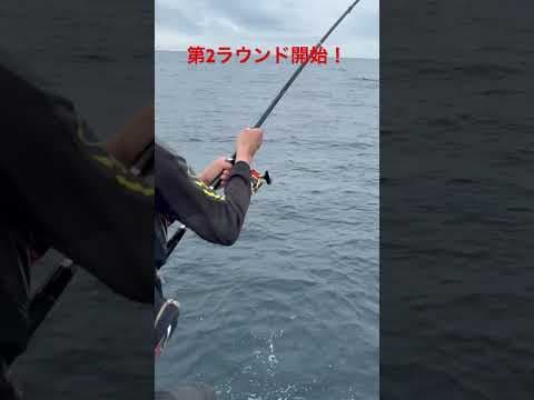 磯の王者が間違ってハリに掛かったらヤバ過ぎた！　#釣り人チャンネル　#磯釣り #海釣り #石鯛 #南郷水島