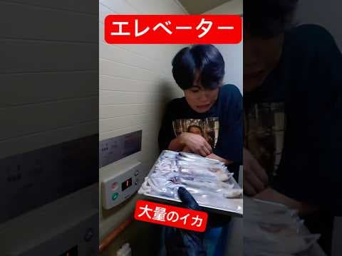 【大喧嘩】エレベーターの中でエグい量のイカを渡して料理させたら腹の中から怖過ぎる物出てくるドッキリ！#shorts