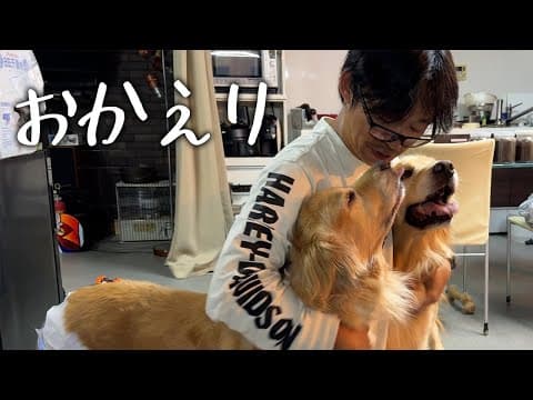 キッカ戻ってきました