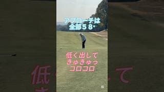 アプローチは全部58度　#shorts #ゴルフ #ゴルフスイング #golf #golfswing #プルゴル