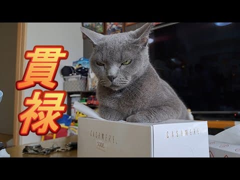 王者の貫禄を纏い始めたすずまろ
