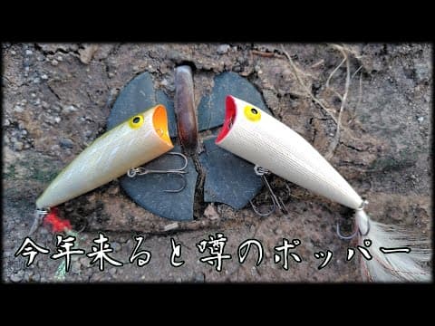 【ポッパー】操作系トップウォーター随一の多彩さとEZさ【ポップR】