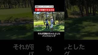 バックスイングの理想形をわかりやすく体感できる方法 #片山晋呉 #golf #ゴルフ #shorts