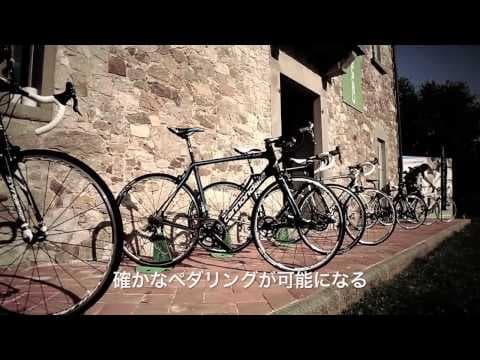 Cannondale - 全てが進化した新型シナプス。プレミアムな冒険へ。