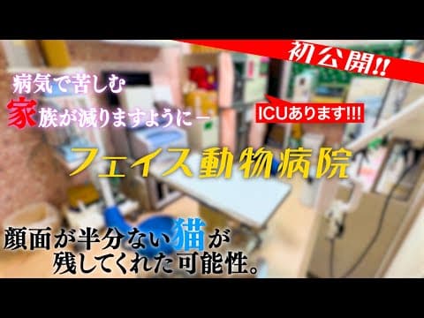 【切実なお願い。獣医師さんへ届け！】小さいながらも、充実した医療設備が整ったフェイス動物病院。一緒に盛り上げてくれる獣医師さんを募集しています！