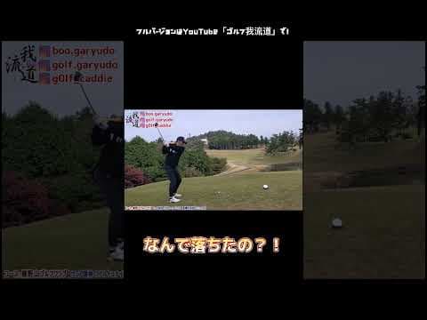 【体が反応しちゃった！？】ゴルフを極めた者だけが到達できる領域！笑