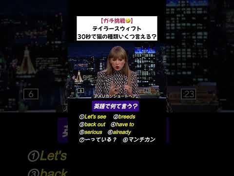 こんなに猫の種類即答できるテイラー凄すぎ😂#英会話 #英語#洋楽