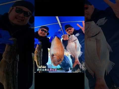 #釣りと魚と男と女#shorts#vol335ハイライト