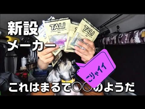 【アジング】何だコレ？TALIのワームは◯◯のようなワームだな。