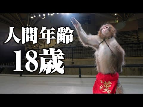 成人を迎えたニホンザルのメンタルの変わり方がすごすぎる