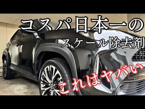 【神コスパ！】これさえあればスケール除去剤に6,600円も出さなくてOK！