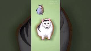 猫ミームをお菓子で作ってみた🐾 #shorts