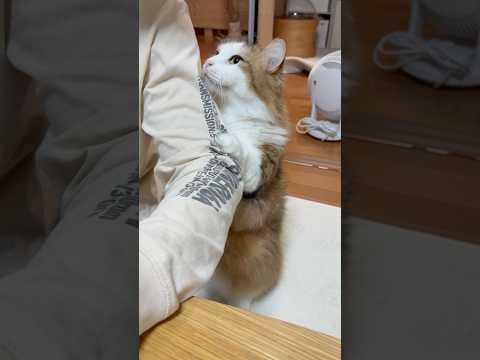 なぁなぁ見て〜立ってんねん