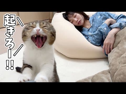 寝落ちしたママを絶対起こす猫VS絶対起きないママの戦いの結果が賢すぎた…w