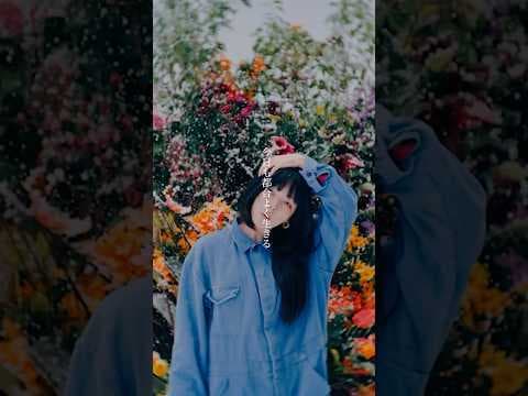 #aiko #シネマ #雨の日プレイリスト