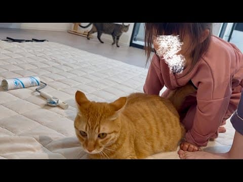 意地悪しちゃった猫を見つけた5歳の娘がまさかの行動に...