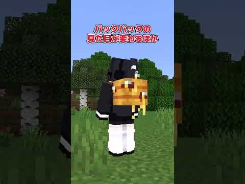 【アドオン紹介】最強のバックパックが出たぞ！【統合版マイクラ】