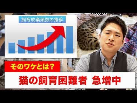 【もう飼えません…】 猫の飼育放棄が止まらない…。その理由と私たちにできること