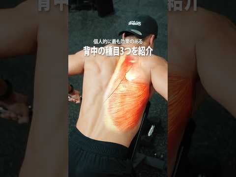 個人的に最も効果のある背中の種目3つを紹介 #筋トレ #フィットネス