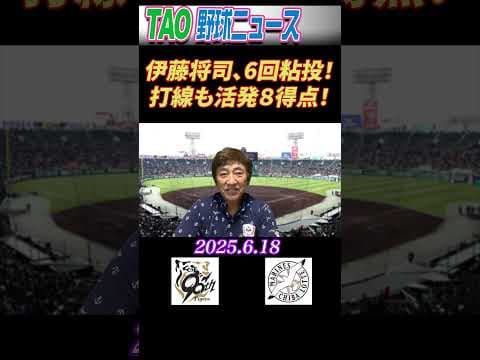 阪神・ロッテ【6/18】 #short
