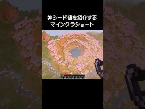 マイクラショートでよく見る神シード値を紹介してくれるやつ