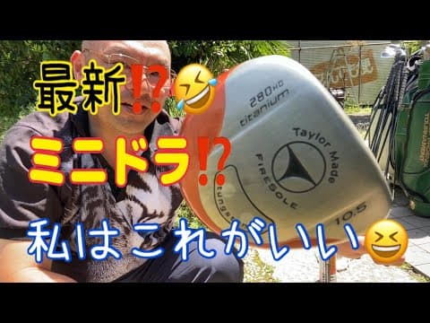 最新⁉️ミニドラ⁉️私はこれがいい😁