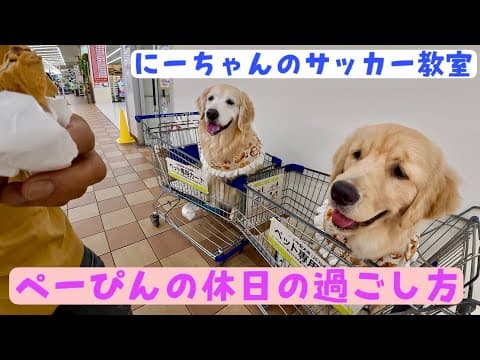 【にーちゃんのサッカー教室】ペーぴんの休日の過ごし方