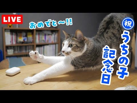ルノのうちの子記念日ライブ配信！ミニサプライズあり😮