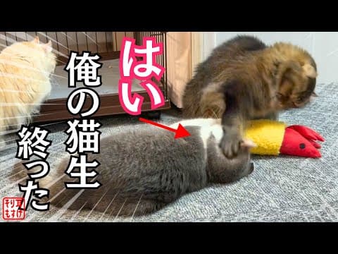 【爆笑】絶体絶命のパパを救うまさかのヒーロー登場からの救出劇ｗ