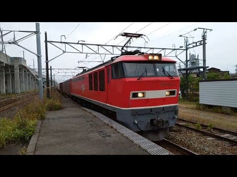 2025年5月24日 朝活ライブ