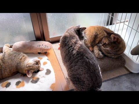 【ご報告】皆様にお伝えしたいことがあります