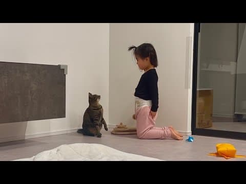5歳娘が猫にお辞儀を教え込んだらまさかのこうなりました
