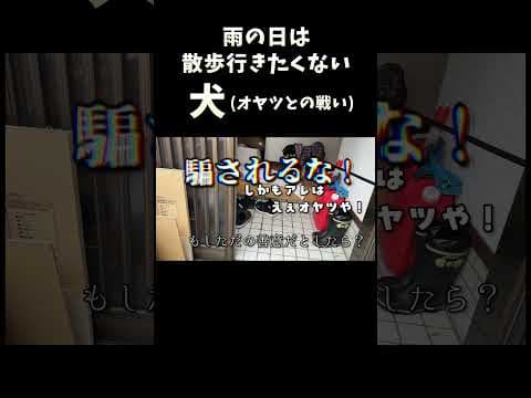 オヤツでおびき出す