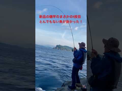 新品の釣り竿でまさかの1投目、驚愕の魚がヒット！　#釣り人チャンネル　#磯釣り #南郷水島　#和田一浩が撮影　#fishing #トーナメント磯