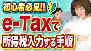 【確定申告】e-Taxで所得税入力する手順を完全解説しました