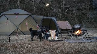 かわいい愛犬とソロキャンプ  くま吉が初めて食べるドッグフード