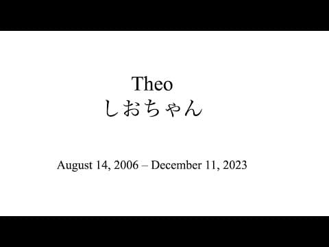 しおの最期について