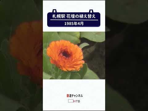 1988年札幌駅の花壇植え替え【鉄道チャンネルＨＴＢ】
