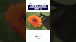 1988年札幌駅の花壇植え替え【鉄道チャンネルＨＴＢ】