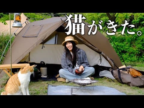 ソロキャン中に保護猫がやってきた。癒しの猫キャンプ【ソロキャン】