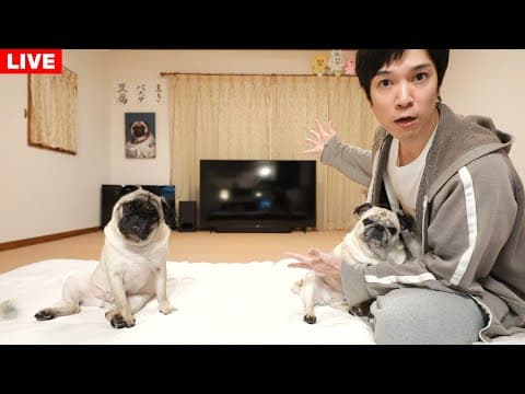 【生配信】テレビ買いました！でも家にムカデが出てもう引っ越したい…