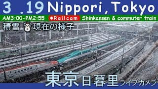 積雪LIVE ☃️ 東京日暮里 鉄道ライブカメラ 2025-03-19 03:00- Nippori,Tokyo,Japan railcam