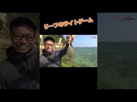 リーフのライトゲーム #沖縄釣り #fishing #リーフ